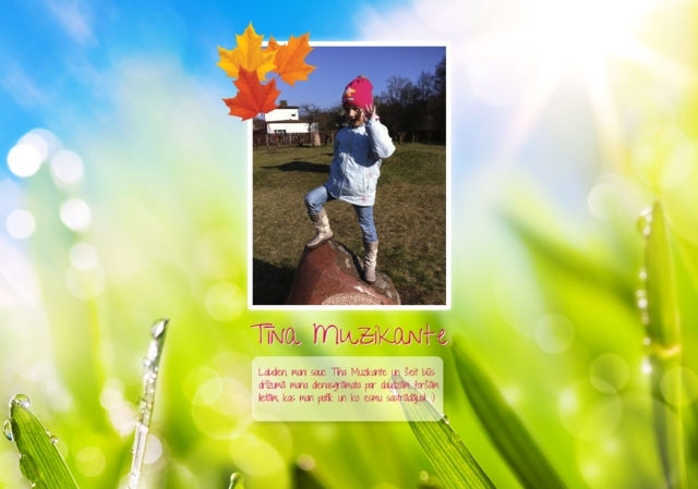 TINA kamīni un krāsnis, SIA